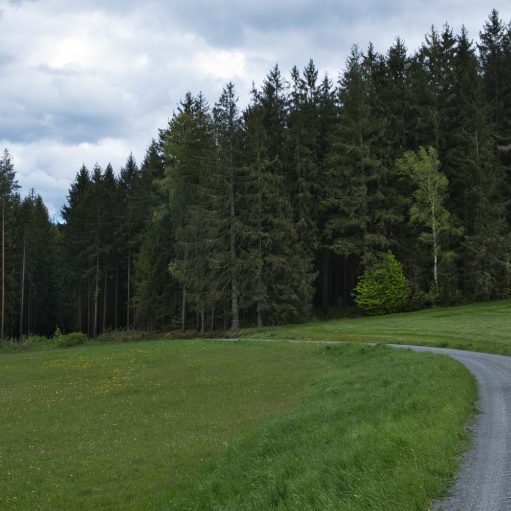 Mit fränkischer Herzlichkeit in den Steigerwald
