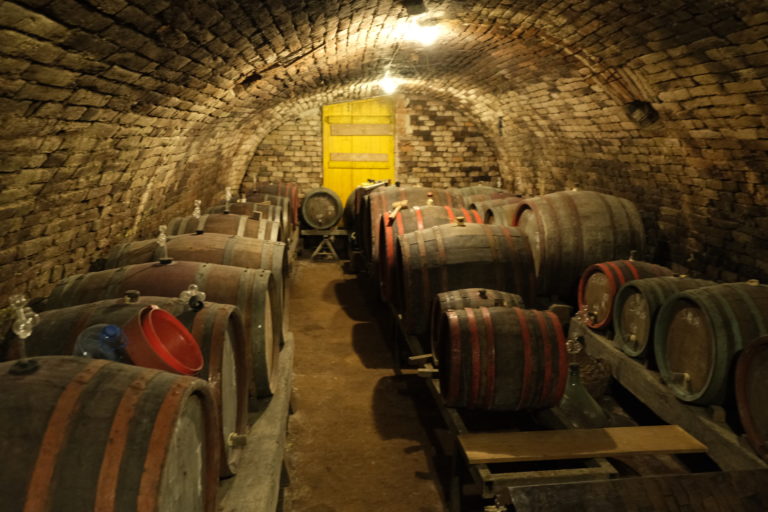 Mehr über den Artikel erfahren In vino veritas
