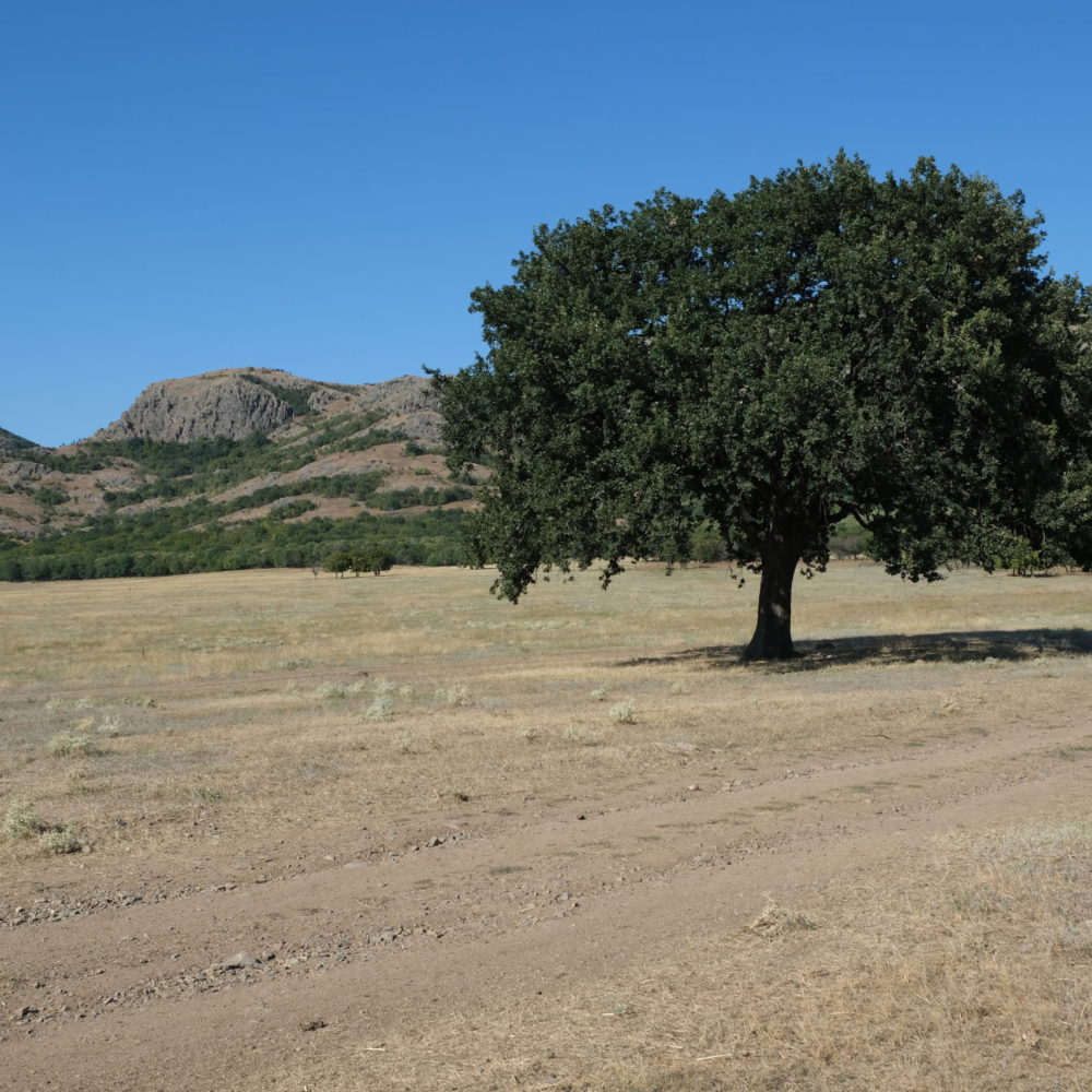 Von nassen Schluchten bis in staubige Steppen