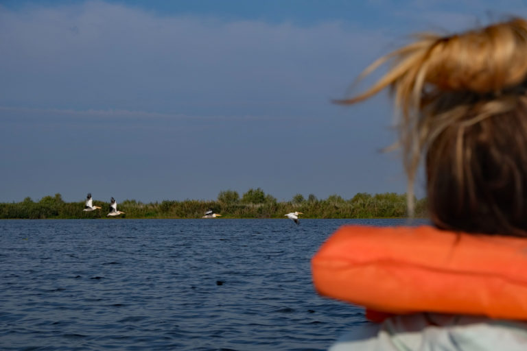 Mehr über den Artikel erfahren Donaudelta & Schwarzes Meer