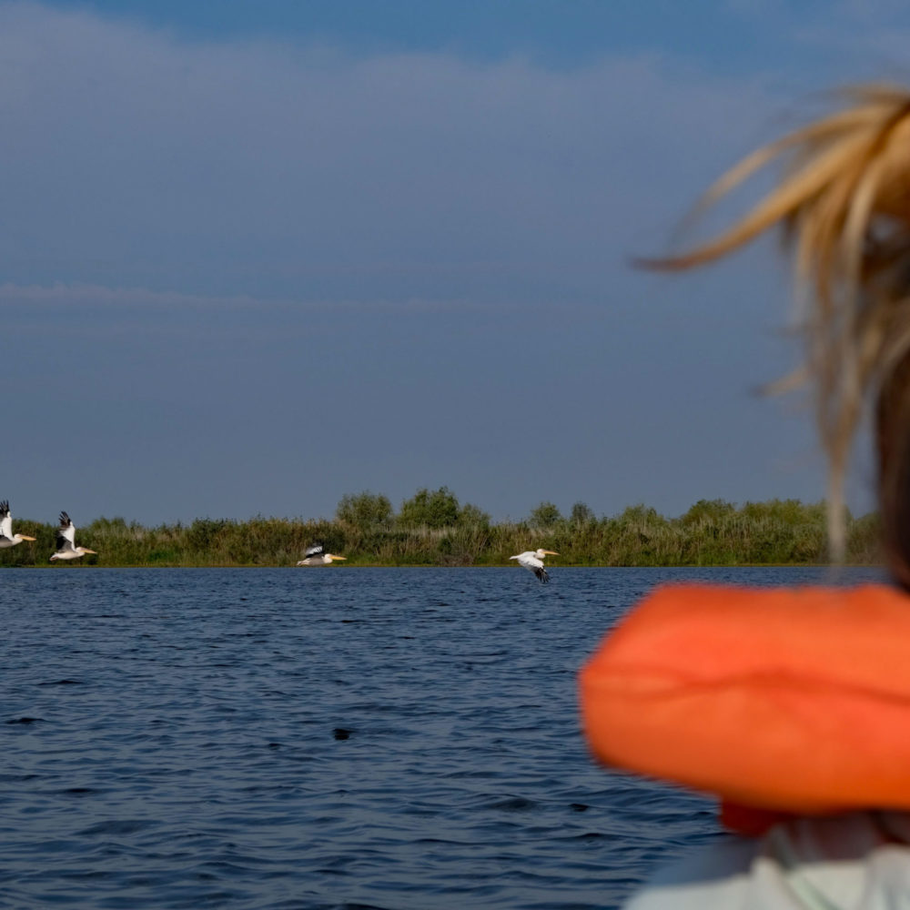 Donaudelta & Schwarzes Meer