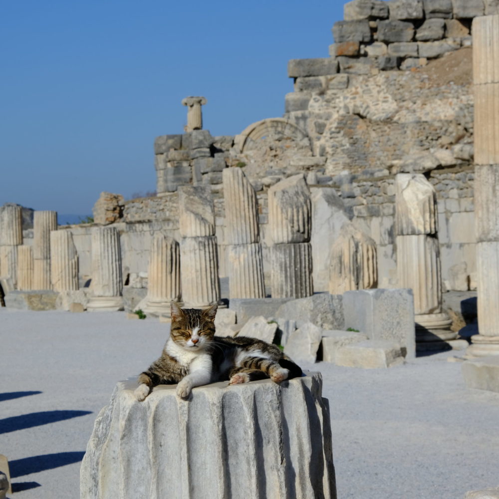 Auf den Spuren der Antike