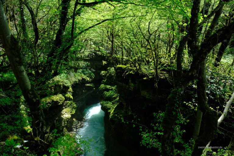 Mehr über den Artikel erfahren Grün, Grüner, Georgien