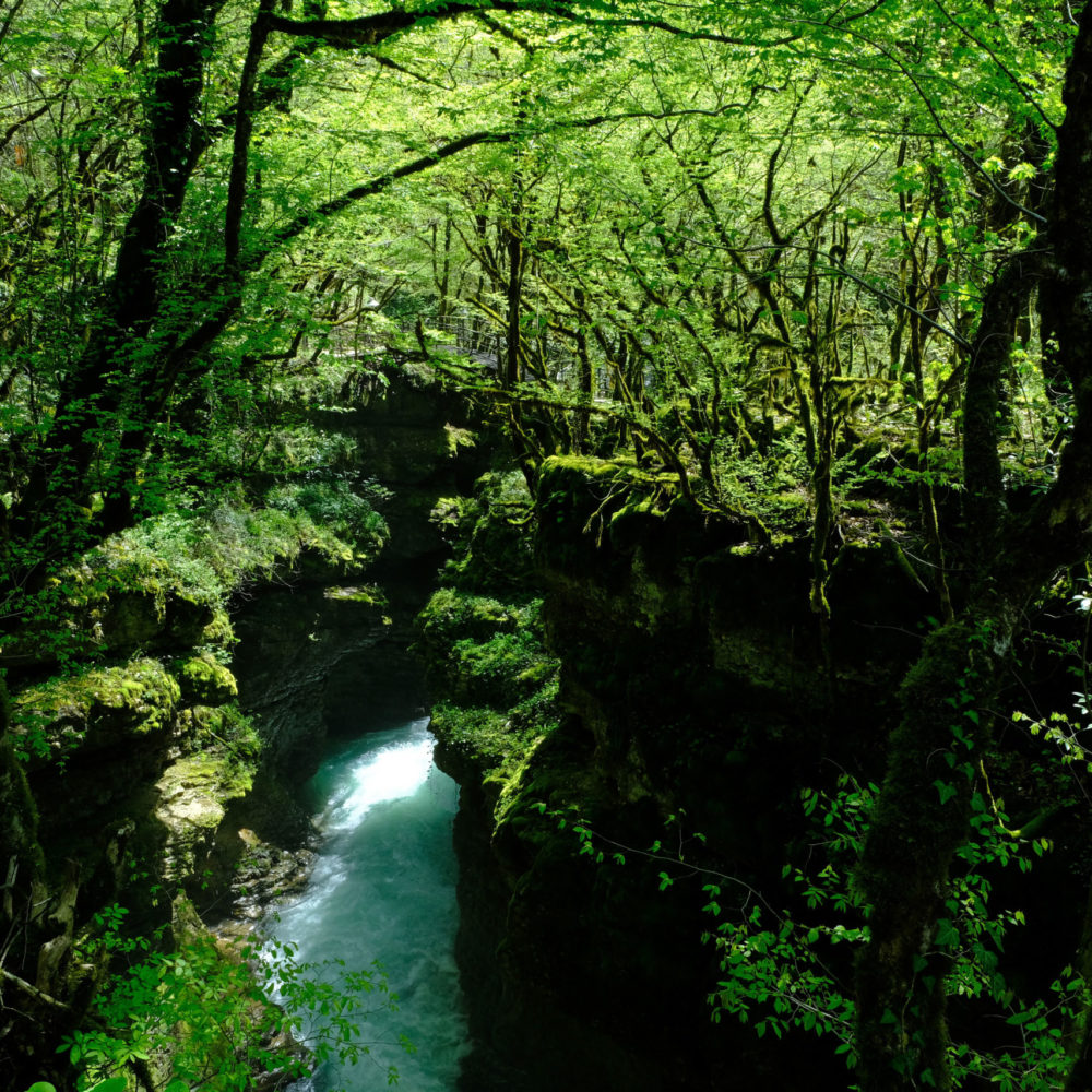 Grün, Grüner, Georgien