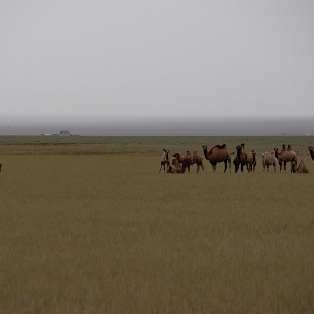 Ein Hauch Kasachstan